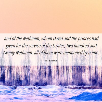 Picture 06 - Ezra 8:20 WEB - and of the Nethinim, whom David and the princes - Bible Verse Picture