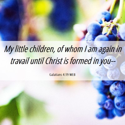 Picture 06 - Galatians 4:19 WEB - My little children, of whom I am again in travail - Bible Verse Picture