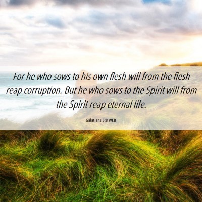 Picture 06 - Galatians 6:8 WEB - For he who sows to his own flesh will from the - Bible Verse Picture