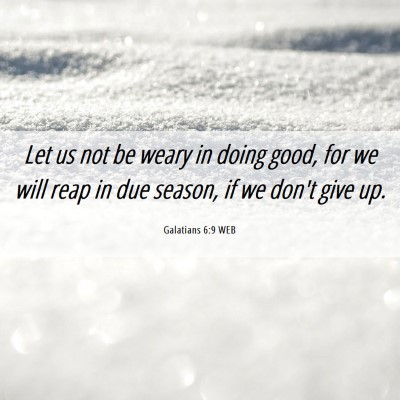 Picture 06 - Galatians 6:9 WEB - Let us not be weary in doing good, for we will - Bible Verse Picture