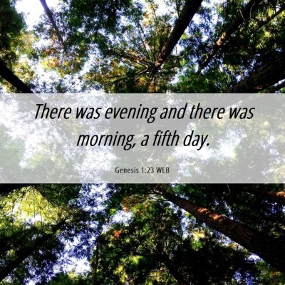 Picture 06 - Genesis 1:23 WEB - There was evening and there was morning, a fifth - Bible Verse Picture