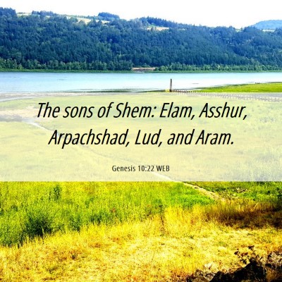 Picture 06 - Genesis 10:22 WEB - The sons of Shem: Elam, Asshur, Arpachshad, Lud, - Bible Verse Picture