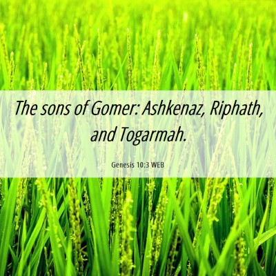 Picture 06 - Genesis 10:3 WEB - The sons of Gomer: Ashkenaz, Riphath, and - Bible Verse Picture