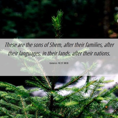 Picture 06 - Genesis 10:31 WEB - These are the sons of Shem, after their families, - Bible Verse Picture