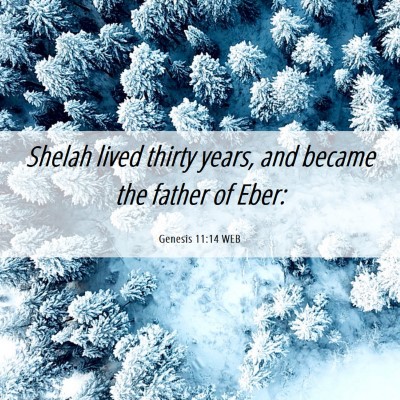 Picture 06 - Genesis 11:14 WEB - Shelah lived thirty years, and became the father - Bible Verse Picture