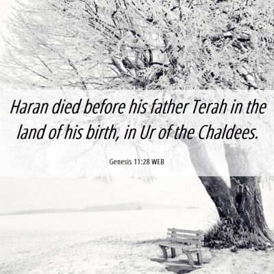 Picture 06 - Genesis 11:28 WEB - Haran died before his father Terah in the land of - Bible Verse Picture