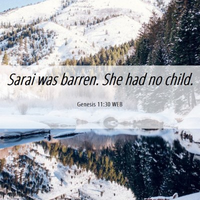 Picture 06 - Genesis 11:30 WEB - Sarai was barren. She had no - Bible Verse Picture