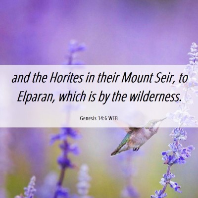 Picture 06 - Genesis 14:6 WEB - and the Horites in their Mount Seir, to Elparan, - Bible Verse Picture