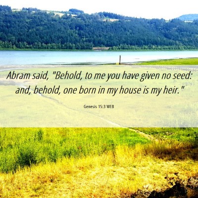 Picture 06 - Genesis 15:3 WEB - Abram said, 
