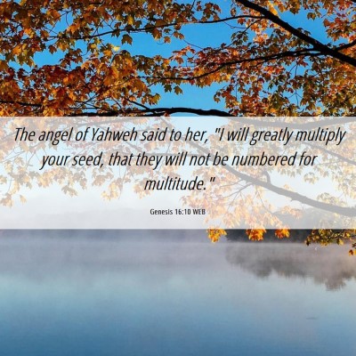 Picture 06 - Genesis 16:10 WEB - The angel of Yahweh said to her, 