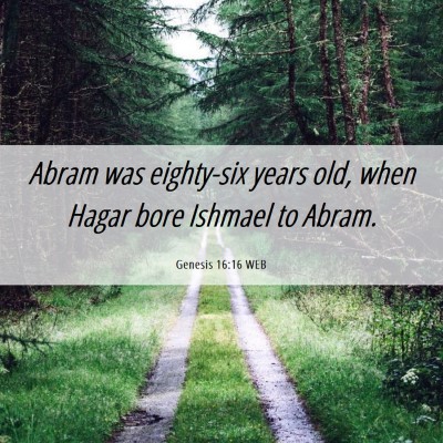 Picture 06 - Genesis 16:16 WEB - Abram was eighty-six years old, when Hagar bore - Bible Verse Picture