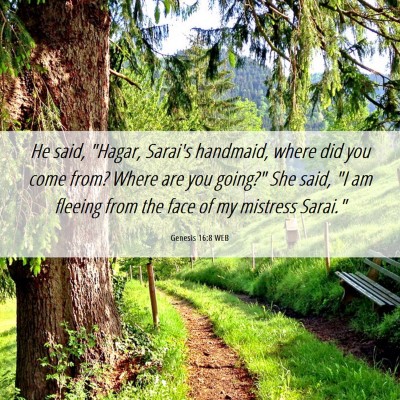 Picture 06 - Genesis 16:8 WEB - He said, 