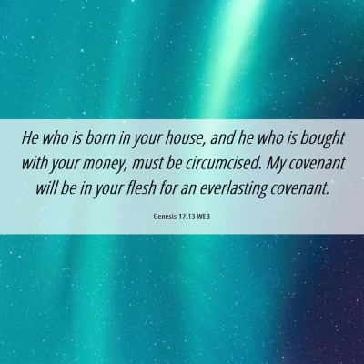 Picture 06 - Genesis 17:13 WEB - He who is born in your house, and he who is - Bible Verse Picture