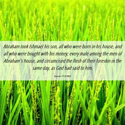 Picture 06 - Genesis 17:23 WEB - Abraham took Ishmael his son, all who were born - Bible Verse Picture