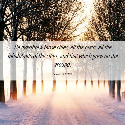 Picture 06 - Genesis 19:25 WEB - He overthrew those cities, all the plain, all the - Bible Verse Picture