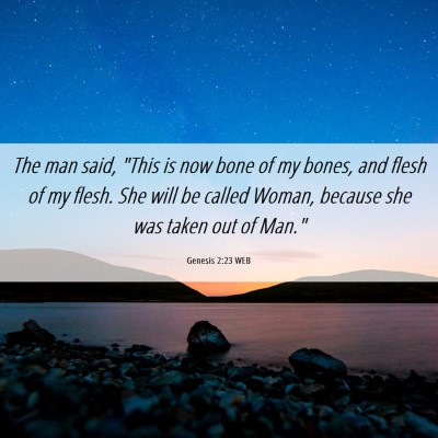 Picture 06 - Genesis 2:23 WEB - The man said, 
