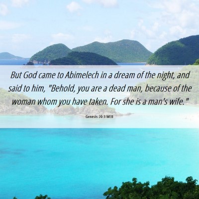 Picture 06 - Genesis 20:3 WEB - But God came to Abimelech in a dream of the - Bible Verse Picture