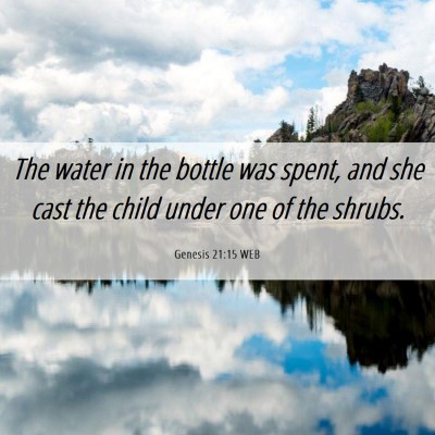 Picture 06 - Genesis 21:15 WEB - The water in the bottle was spent, and she cast - Bible Verse Picture