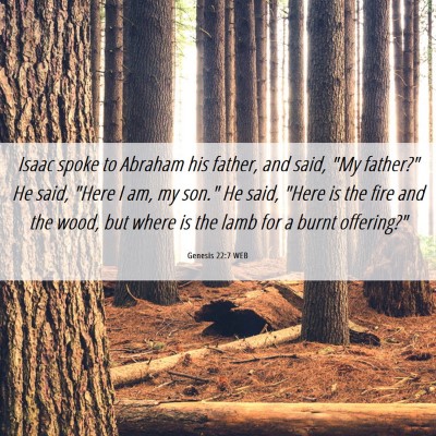 Picture 06 - Genesis 22:7 WEB - Isaac spoke to Abraham his father, and said, 
