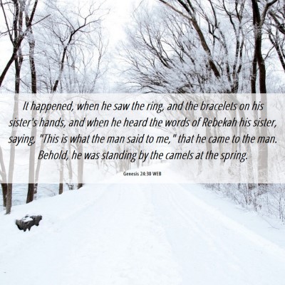 Picture 06 - Genesis 24:30 WEB - It happened, when he saw the ring, and the - Bible Verse Picture