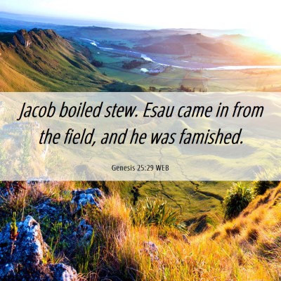 Picture 06 - Genesis 25:29 WEB - Jacob boiled stew. Esau came in from the field, - Bible Verse Picture