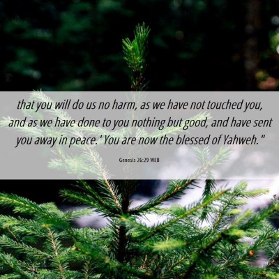 Picture 06 - Genesis 26:29 WEB - that you will do us no harm, as we have not - Bible Verse Picture