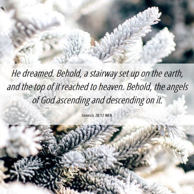 Picture 06 - Genesis 28:12 WEB - He dreamed. Behold, a stairway set up on the - Bible Verse Picture