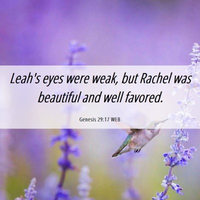 Picture 06 - Genesis 29:17 WEB - Leah's eyes were weak, but Rachel was beautiful - Bible Verse Picture