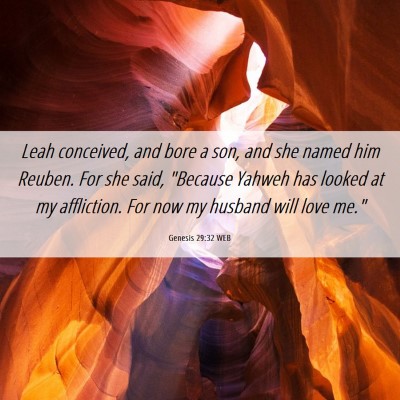 Picture 06 - Genesis 29:32 WEB - Leah conceived, and bore a son, and she named him - Bible Verse Picture