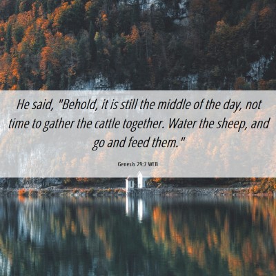 Picture 06 - Genesis 29:7 WEB - He said, 