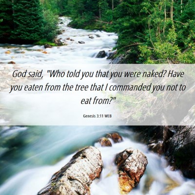 Picture 06 - Genesis 3:11 WEB - God said, 