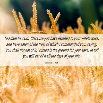 Picture 06 - Genesis 3:17 WEB - To Adam he said, 