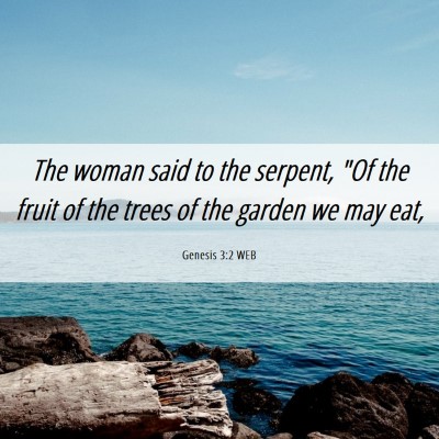 Picture 06 - Genesis 3:2 WEB - The woman said to the serpent, 
