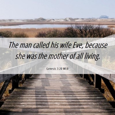 Picture 06 - Genesis 3:20 WEB - The man called his wife Eve, because she was the - Bible Verse Picture