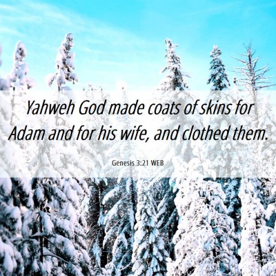 Picture 06 - Genesis 3:21 WEB - Yahweh God made coats of skins for Adam and for - Bible Verse Picture