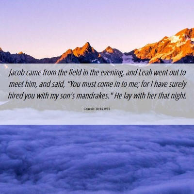 Picture 06 - Genesis 30:16 WEB - Jacob came from the field in the evening, and - Bible Verse Picture