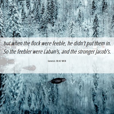 Picture 06 - Genesis 30:42 WEB - but when the flock were feeble, he didn't put - Bible Verse Picture