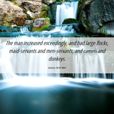 Picture 06 - Genesis 30:43 WEB - The man increased exceedingly, and had large - Bible Verse Picture