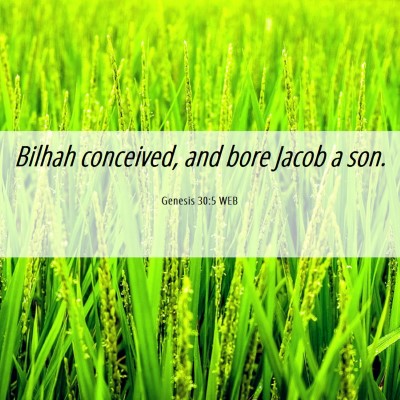 Picture 06 - Genesis 30:5 WEB - Bilhah conceived, and bore Jacob a - Bible Verse Picture