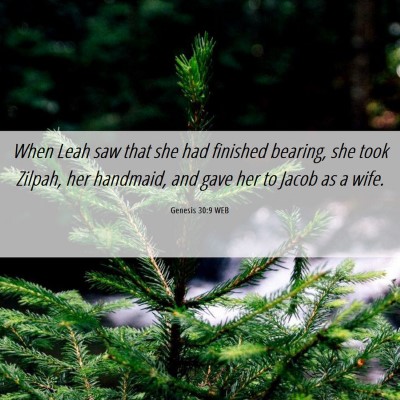 Picture 06 - Genesis 30:9 WEB - When Leah saw that she had finished bearing, she - Bible Verse Picture