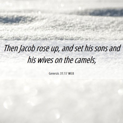 Picture 06 - Genesis 31:17 WEB - Then Jacob rose up, and set his sons and his - Bible Verse Picture