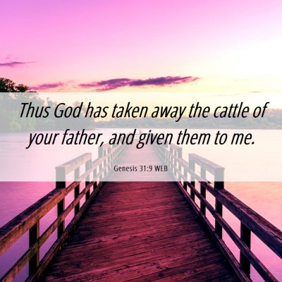 Picture 06 - Genesis 31:9 WEB - Thus God has taken away the cattle of your - Bible Verse Picture