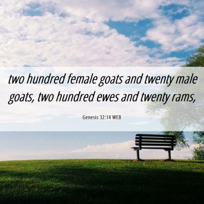 Picture 06 - Genesis 32:14 WEB - two hundred female goats and twenty male goats, - Bible Verse Picture