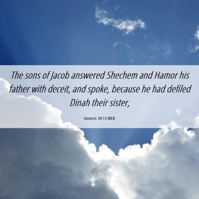 Picture 06 - Genesis 34:13 WEB - The sons of Jacob answered Shechem and Hamor his - Bible Verse Picture