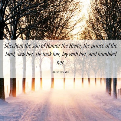 Picture 06 - Genesis 34:2 WEB - Shechem the son of Hamor the Hivite, the prince - Bible Verse Picture