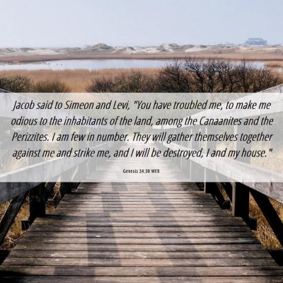 Picture 06 - Genesis 34:30 WEB - Jacob said to Simeon and Levi, 