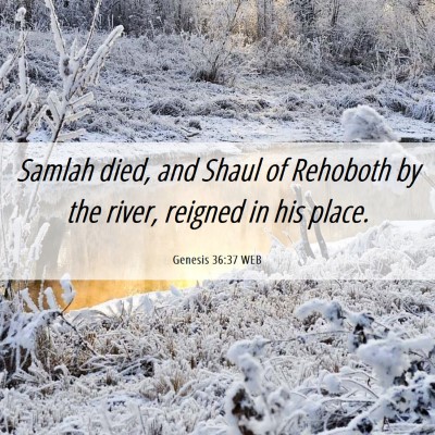 Picture 06 - Genesis 36:37 WEB - Samlah died, and Shaul of Rehoboth by the river, - Bible Verse Picture