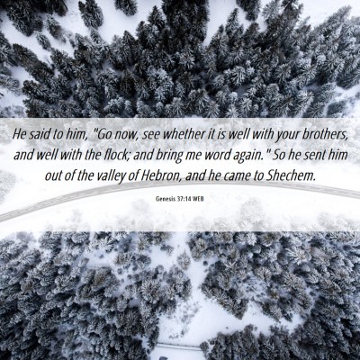 Picture 06 - Genesis 37:14 WEB - He said to him, 