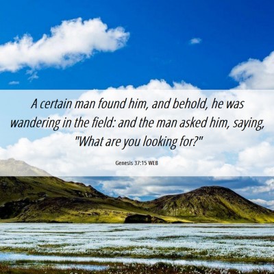 Picture 06 - Genesis 37:15 WEB - A certain man found him, and behold, he was - Bible Verse Picture