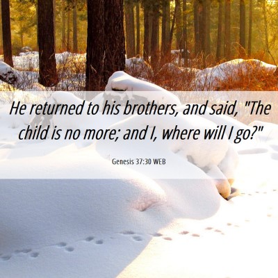 Picture 06 - Genesis 37:30 WEB - He returned to his brothers, and said, 